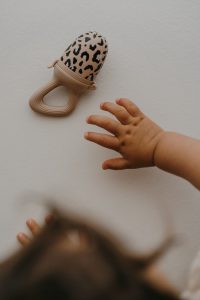 Grignoteuse Zakuw - léopard