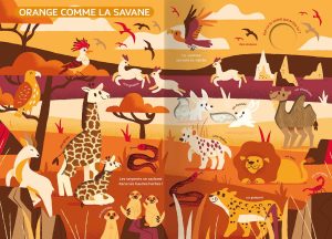 Livre d’éveil bébé Auzou – Le monde des couleurs