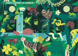 Livre d’éveil bébé Auzou – Le monde des couleurs