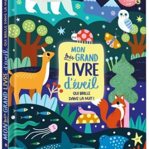 Grand livre d'éveil qui brille dans la nuit – Auzou