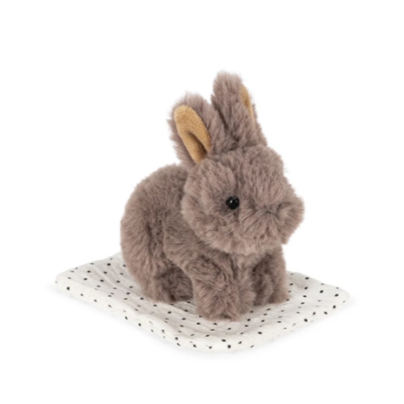 Take Care of Me – Animal à soigner Chien Chat ou Lapin